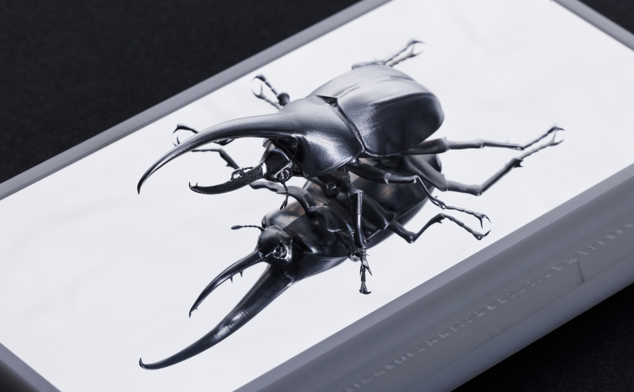 銀賞ヘラクレスオオカブトメイン画像